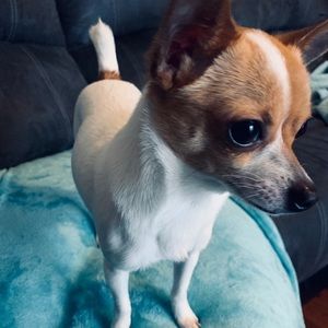 Meet your Posher, Cassandra